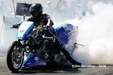 Enlarge photo 77
