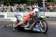 Enlarge photo 60