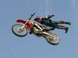 Enlarge photo 41