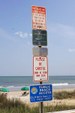 Enlarge photo 63