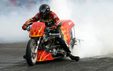 Enlarge photo 50