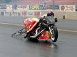 Enlarge photo 59