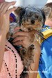 Enlarge photo 138