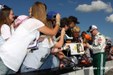 Enlarge photo 50
