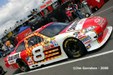 Enlarge photo 71