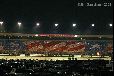 Enlarge photo 70