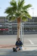Enlarge photo 48