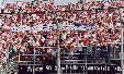 Enlarge photo 51