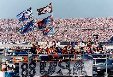 Enlarge photo 77