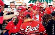 Enlarge photo 93