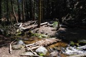 Enlarge photo 25