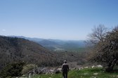 Enlarge photo 28