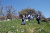 Enlarge photo 29
