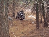 Enlarge photo 3