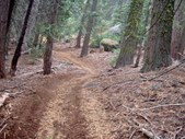 Enlarge photo 19