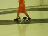 Enlarge photo 29