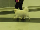 Enlarge photo 37