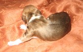 Enlarge photo 14