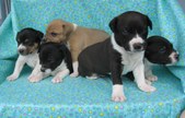 Three Weeks Old!
