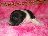 Two Weeks Old