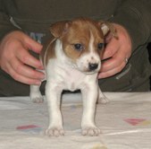 Enlarge photo 7