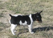 Enlarge photo 12
