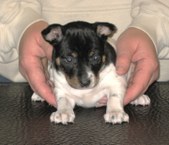 Enlarge photo 10