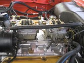 Enlarge photo 244