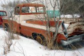 Enlarge photo 268