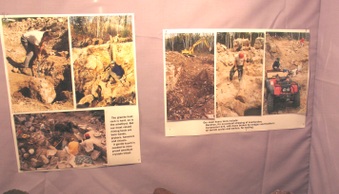 Enlarge photo 25