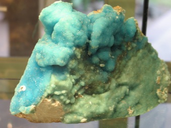 Mineral and Fossil Specimens