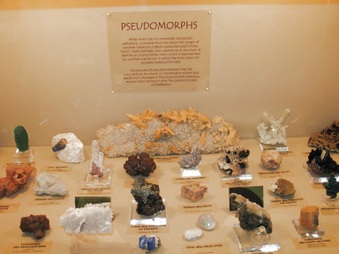 Enlarge photo 32