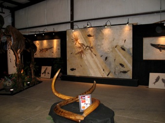 Enlarge photo 42