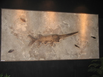 Enlarge photo 46