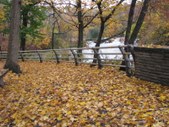 Niagara Falls 2009