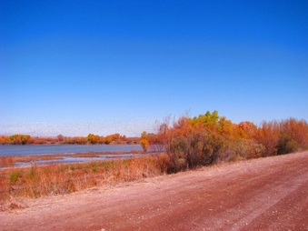Rock Hunting in New Mexico