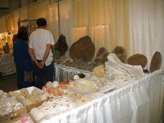 Enlarge photo 117