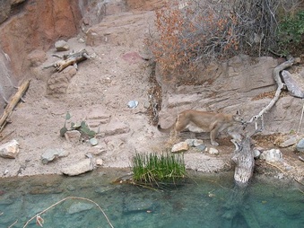 Enlarge photo 158
