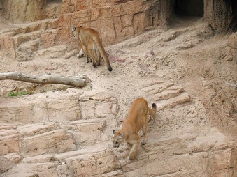 Enlarge photo 159