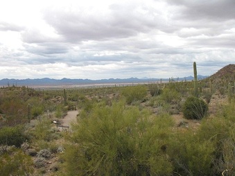 Enlarge photo 161