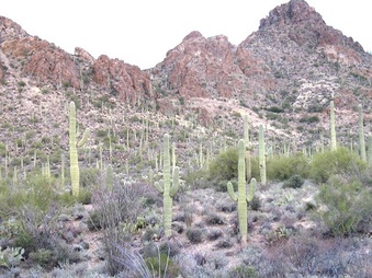 Enlarge photo 166