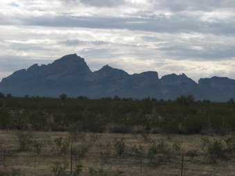 Enlarge photo 71