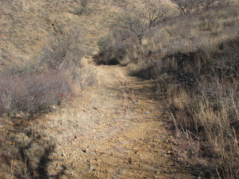 Enlarge photo 76