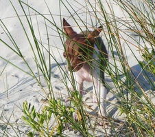 Enlarge photo 10