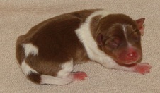 Enlarge photo 28