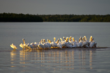 South Florida
