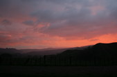 Enlarge photo 95