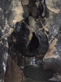 Enlarge photo 31