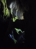 Enlarge photo 42