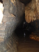 Enlarge photo 45